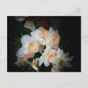 Carte Postale fleurs