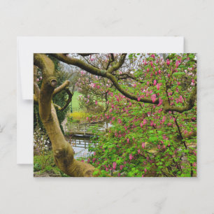 Carte Postale Fleurs