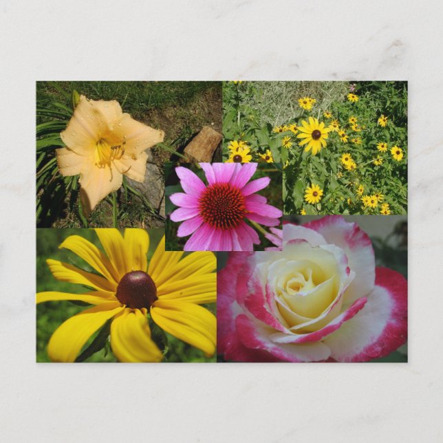 Carte Postale Fleurs (Devant)
