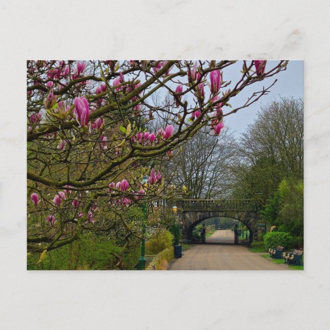 Carte Postale Fleurs (Devant)