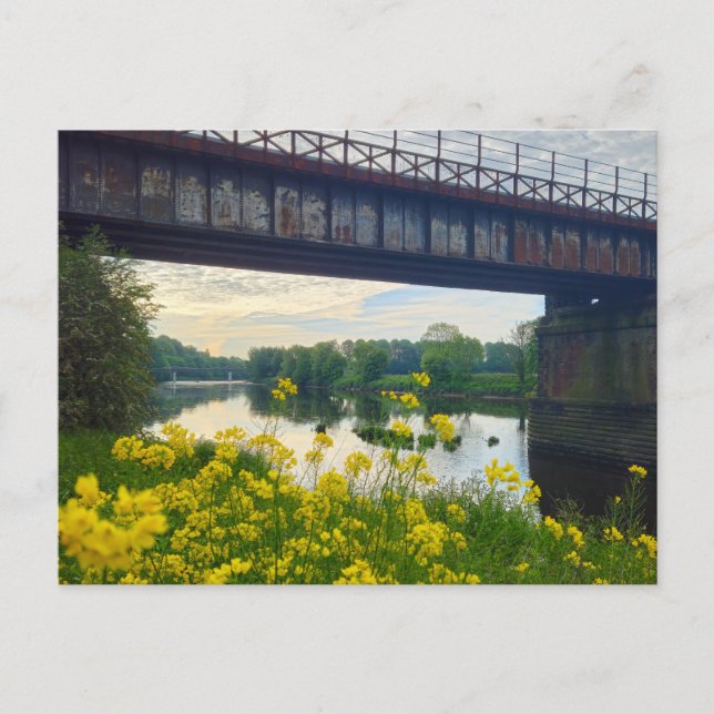 Carte Postale Fleurs  (Devant)