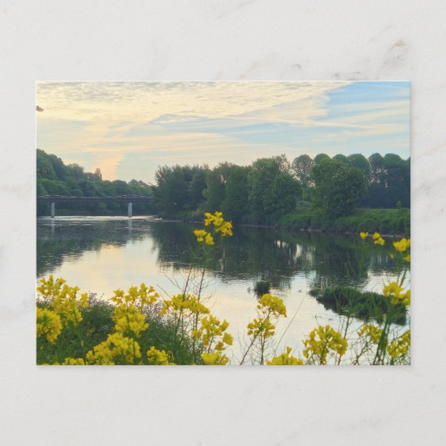 Carte Postale Fleurs (Devant)