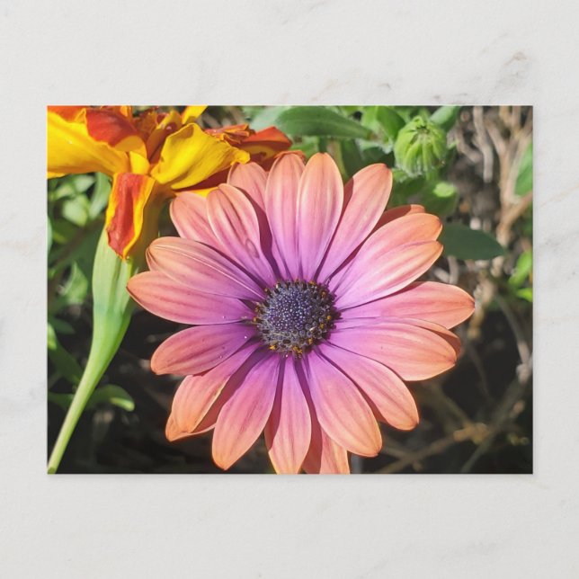 Carte Postale Fleurs (Devant)