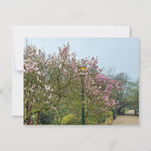 Carte Postale Fleurs