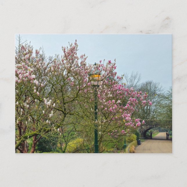 Carte Postale Fleurs (Devant)