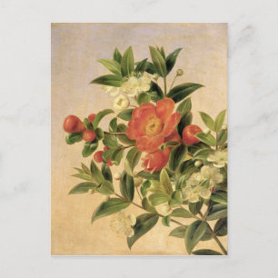 Carte Postale Fleurs, 1835