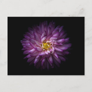 Carte Postale Fleurs 20