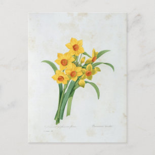 Carte Postale Fleurs 5