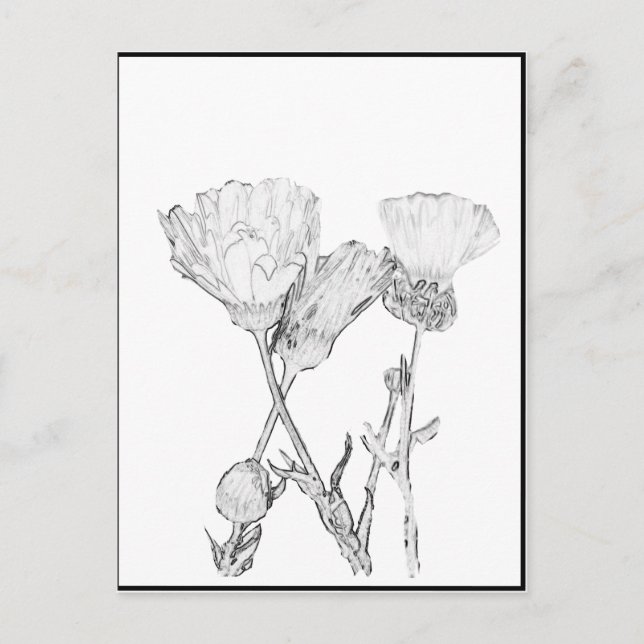 Carte postale - Fleurs à colorier (Devant)
