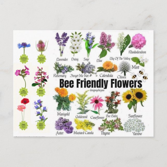 Carte postale Fleurs Abeilles (Devant)