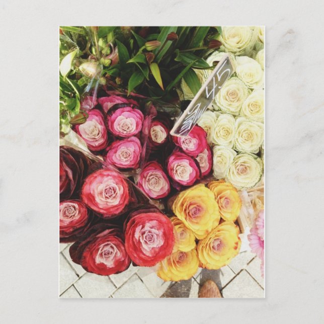 Carte Postale Fleurs arc-en-ciel de Copenhague (Devant)