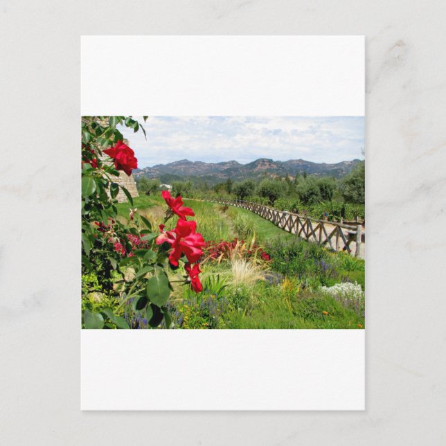 Carte Postale Fleurs au Castello di Amorosa (Devant)