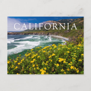 Carte Postale Fleurs au-dessus de Sand Dollar Beach