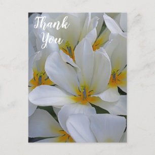 Carte Postale Fleurs blanches et jaunes Merci