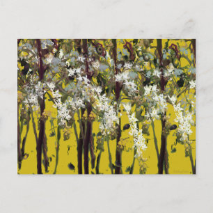 Carte Postale Fleurs blanches minuscules