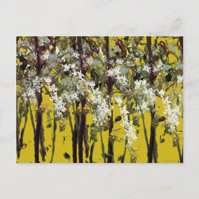 Carte Postale Fleurs blanches minuscules (Devant)