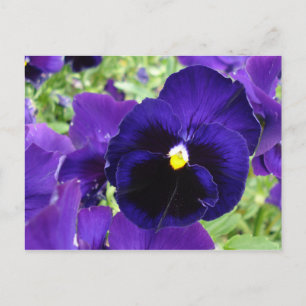 Carte postale "Fleurs bleu foncé"
