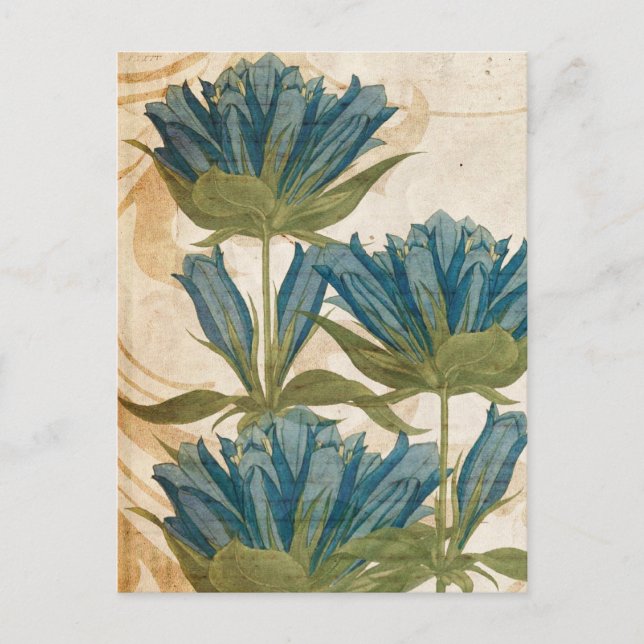 Carte Postale Fleurs Bleues Mariage Vintage (Devant)