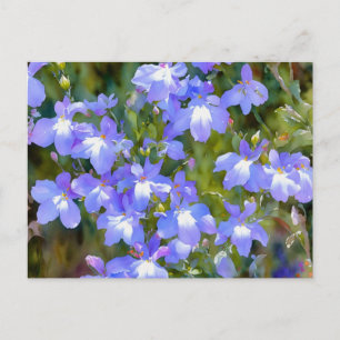 Carte postale Fleurs Bleues Myosotis