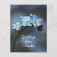 Fleurs Bleues Ne m'oubliez pas Salutations d'Alask