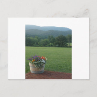Carte Postale Fleurs Blue Ridge