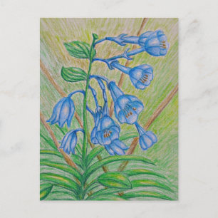 Carte Postale Fleurs BlueBell