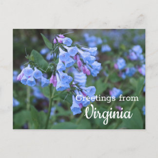 Carte postale Fleurs Bluebell State Virginia