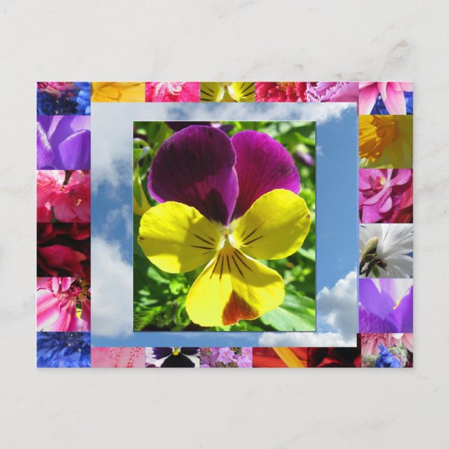 Carte postale Fleurs Bonheur (Devant)