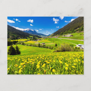 Carte Postale Fleurs   Canton des Grisons de Dandelion, Suisse
