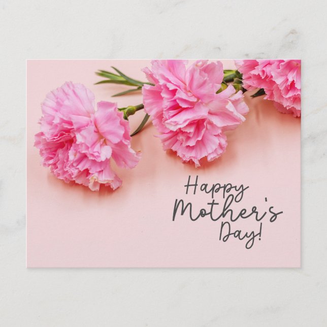 Carte Postale Fleurs Carnation roses pour maman pour la fête des (Devant)