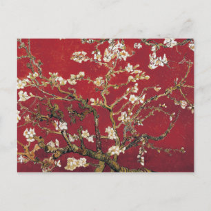Carte Postale Fleurs d'amandes Red Vincent van Gogh Peinture d'a