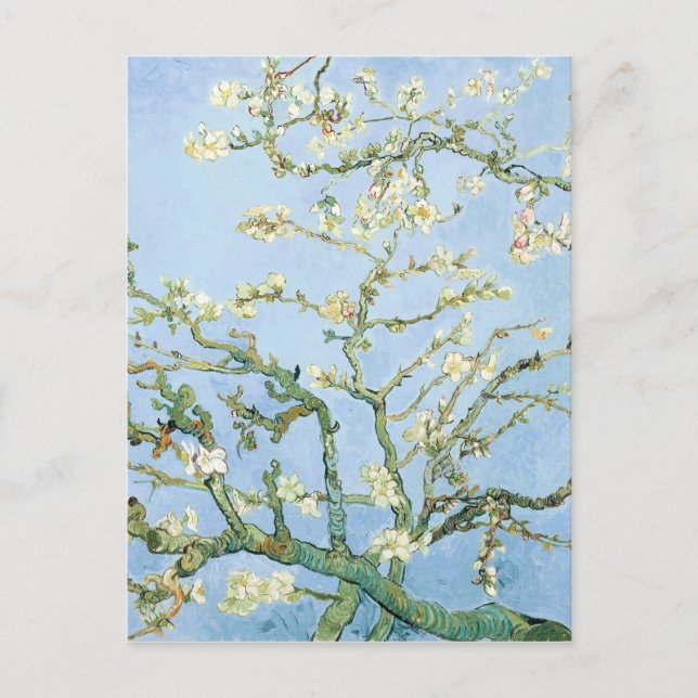 Carte Postale Fleurs d'amandier de Van Gogh (Devant)