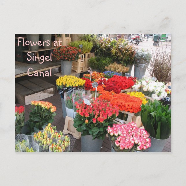 Carte Postale Fleurs d'Amsterdam (Devant)