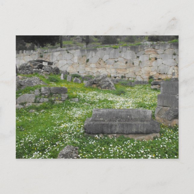 Carte Postale Fleurs dans les ruines de Delphi (Devant)