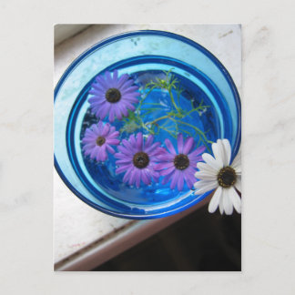 Carte Postale Fleurs dans Piscine Bleue