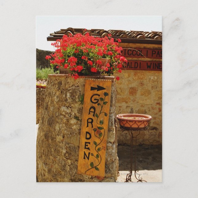 Carte Postale Fleurs dans un jardin, Monteriggioni, Sienne (Devant)