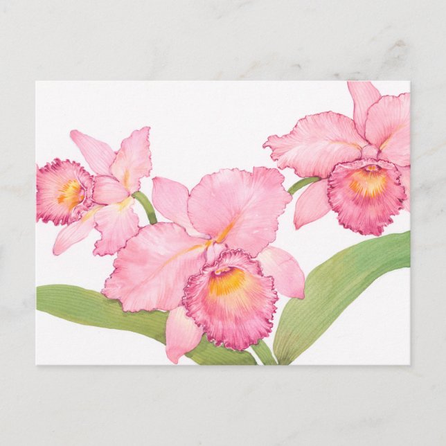 Carte Postale Fleurs d'aquarelle rose exotique (Devant)