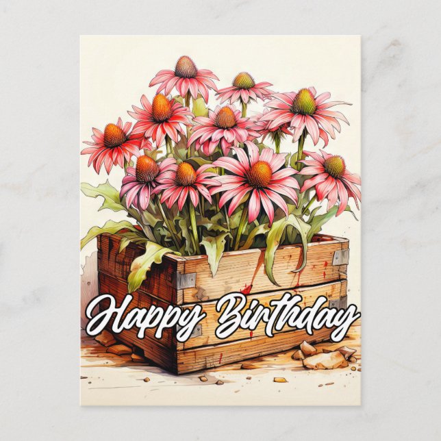 Carte Postale Fleurs d'aster plantées joliment (Devant)