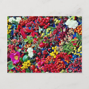 Carte Postale Fleurs de baies d'automne