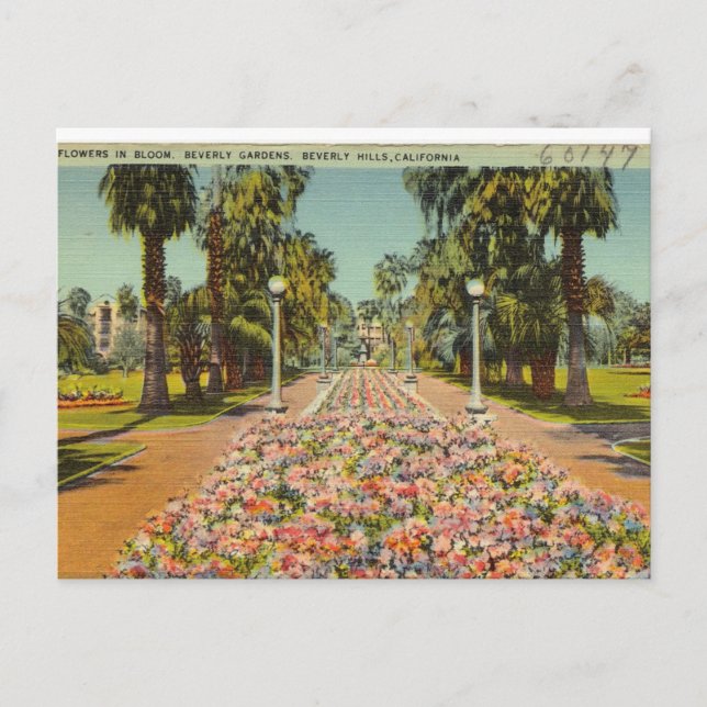 Carte Postale Fleurs de Beverly Hills (Devant)