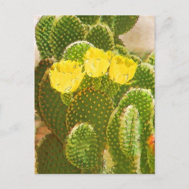 CARTE POSTALE FLEURS DE CACTUS JAUNES (Devant)