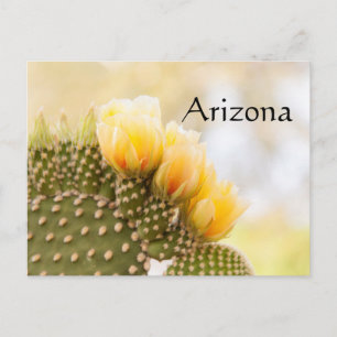 Carte Postale Fleurs de cactus jaunes lors de leur floraison en