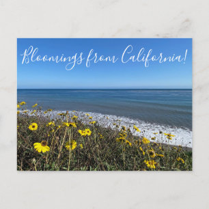 Carte Postale Fleurs de Californie !