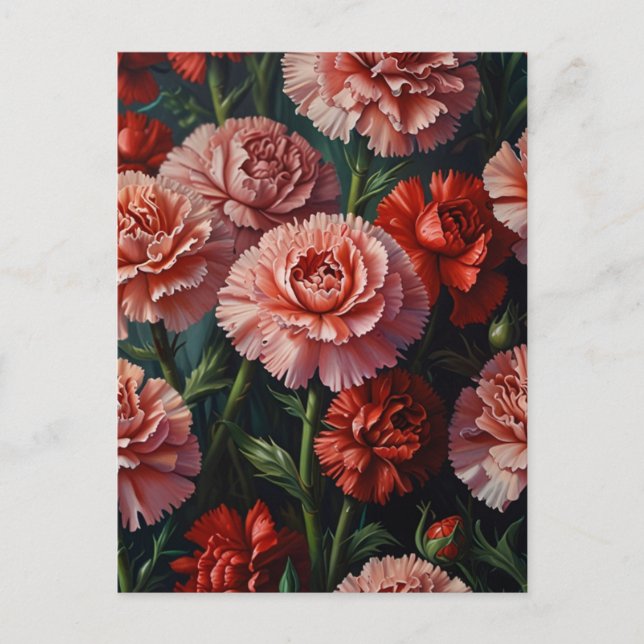 Carte Postale Fleurs de carnation (Devant)