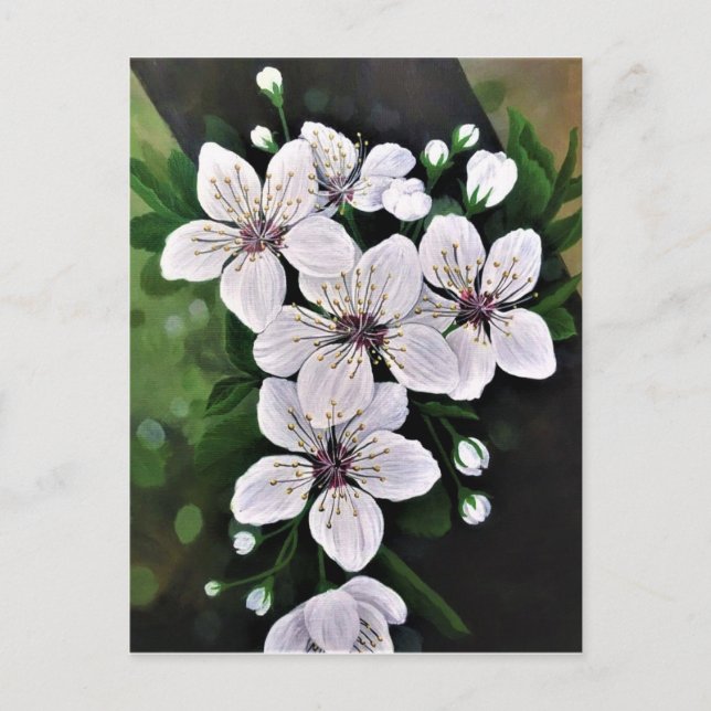 Carte Postale Fleurs De Cerise Blanche Art En Acrylique (Devant)