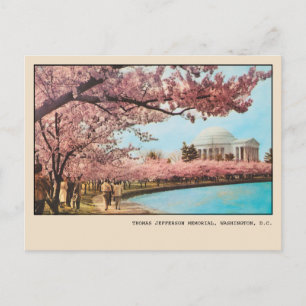 Carte Postale Fleurs de cerisier du mémorial Jefferson de Washin