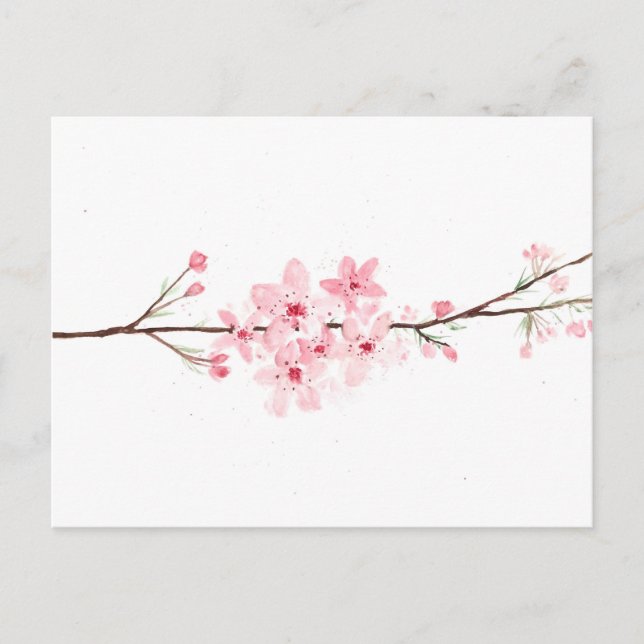 Carte Postale Fleurs de cerisier sakura rose japonais (Devant)