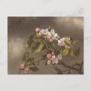 Carte Postale Fleurs de colibri et de pomme