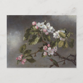 Carte Postale Fleurs de colibri et de pomme Martin J. Heade