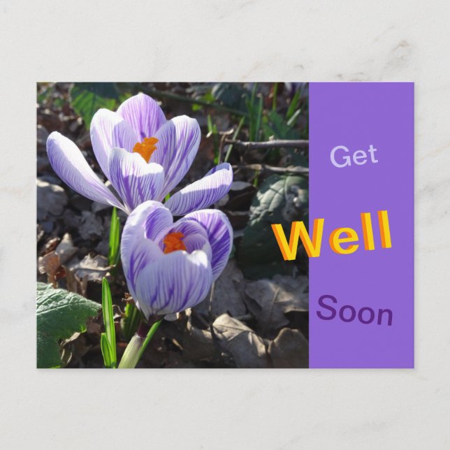 Carte postale fleurs de crocus rétablissez-vous vi (Devant)